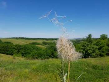 Екскурсія в Трахтемирів та Бучак Екскурсія в Трахтемирів та Бучак